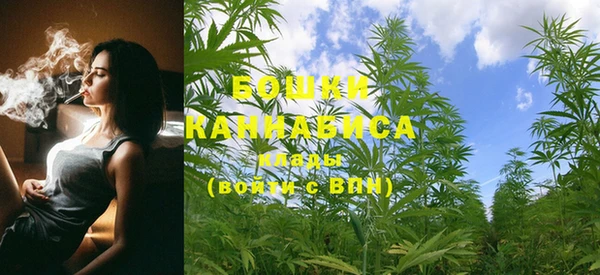 стаф Пересвет