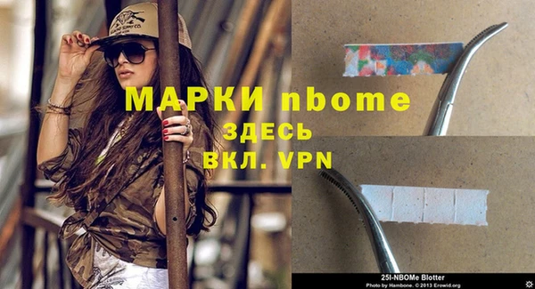 стаф Пересвет