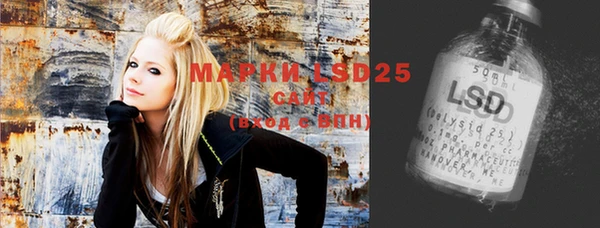 стаф Пересвет